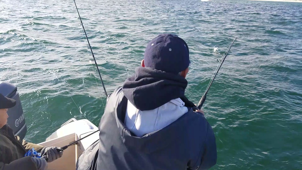 striped bass jigging using Black Hole Cape Cod Slow Pitch jigging rod