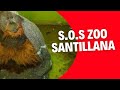 S.O.S Zoo Santillana Del Mar : Inundaciones / Colaboracion