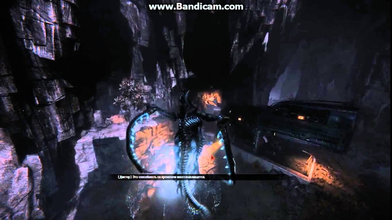 Evolve on AMD ATI Radeon HD 5450 512Mb