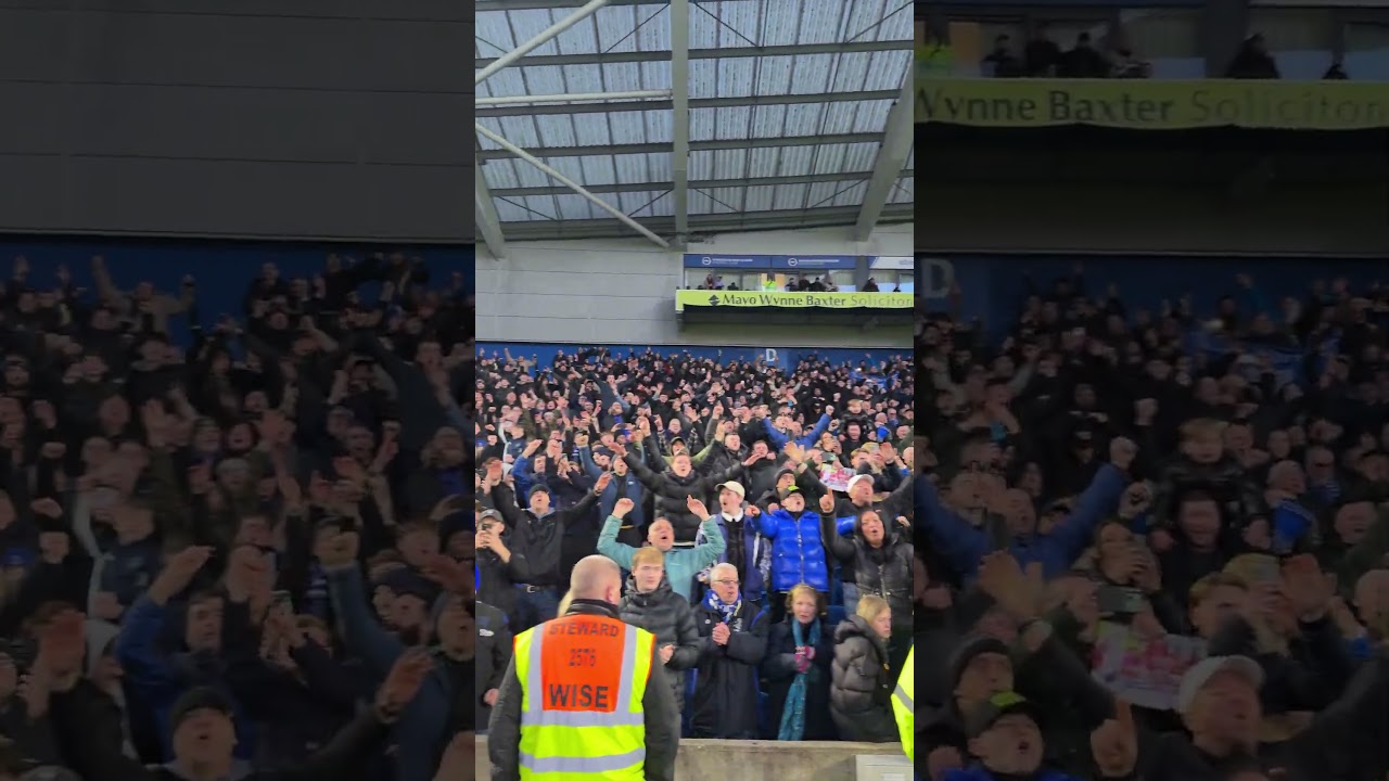 🎶 🔵 The Everton away end in full voice following Beto's last equaliser away to Brighton.