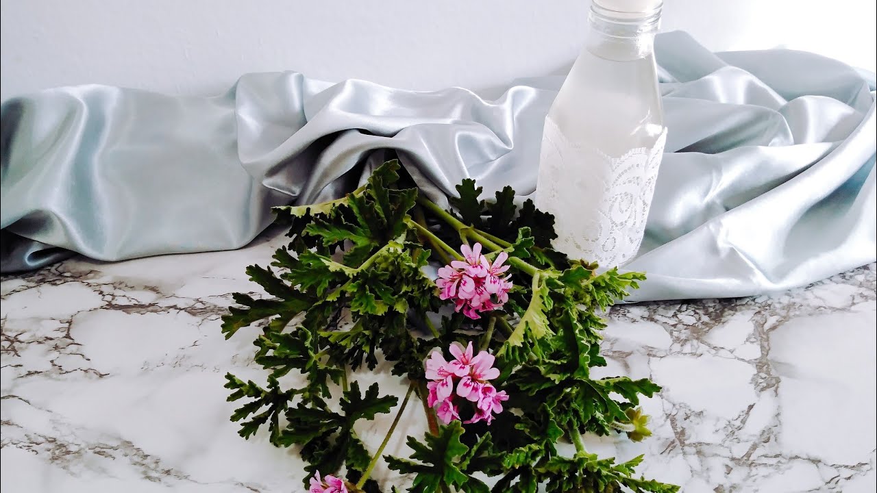 تقطير العطرشية بطريقة مضمونة و فكرة لمشروع منزلي مربح🌿🌿