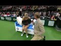 Maria Sharapova's "injury" during the 2012 Prague Exhibition Match