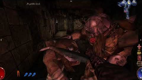 Arx Fatalis (Evil Sorcerer) walkthrough part 1