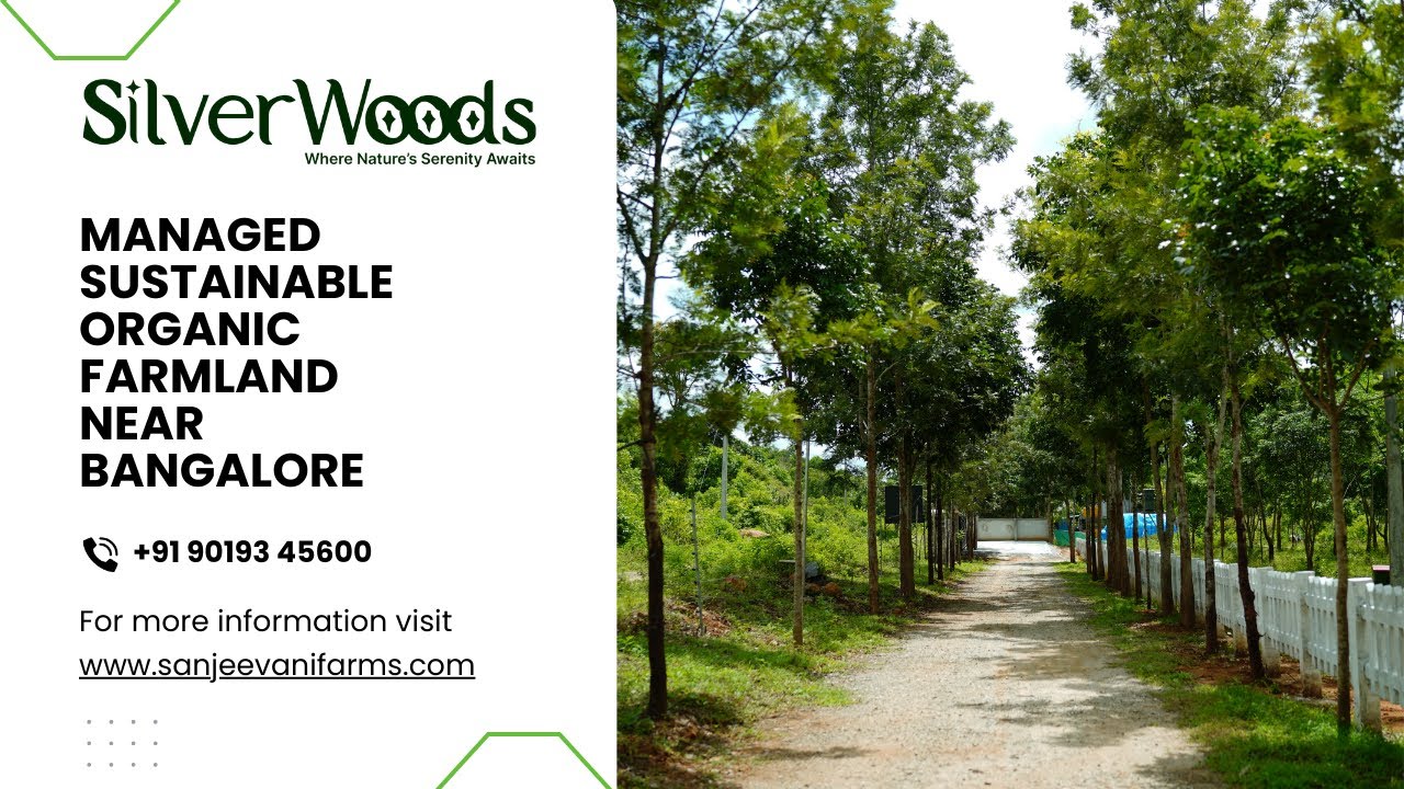 SilverWoods Managed Farmland: Best Boutique Farm Plots Near Bangalore