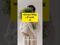 গর্ভাবস্থায় নিষিদ্ধ সবজি ❌ #youtubeshorts #shorts #pregnancy