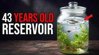 I COLLECTED 43-Year-Old Water: IMPOSSIBLE CREATURES