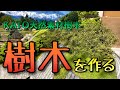 【鉄道模型】天然素材樹木を使った樹木の作り方【KATO】