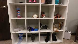 Limb Lab Rochester Virtual Tour