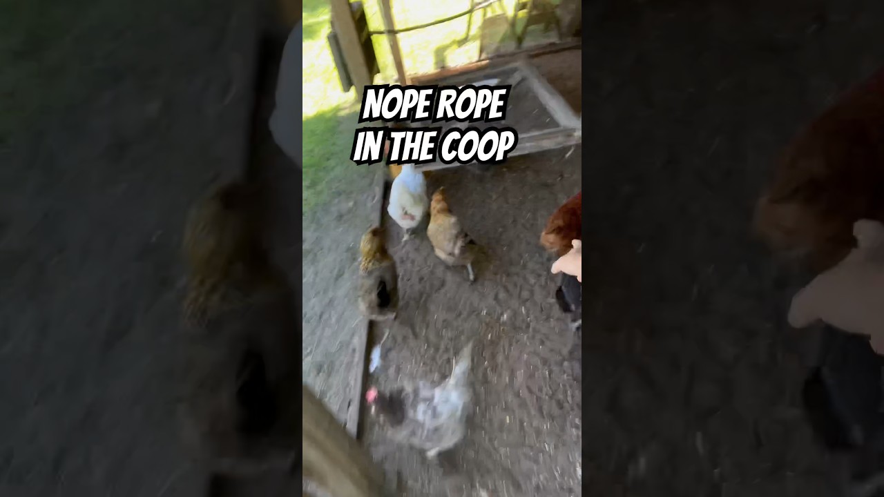 Nope Rope! Silly String! Murder Skeberter! Naughty Noodle! 