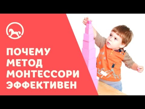 Философия Монтессори: Нейрологические причины эффективности Монтессори образования
