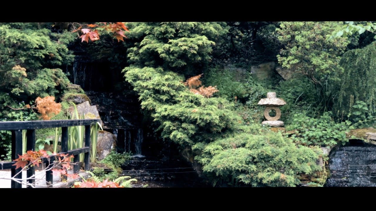 Japanese Garden Cornwall - zwiedzamy Anglię