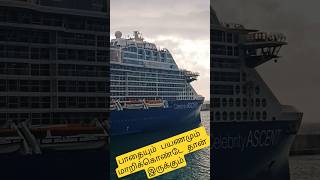 பாதையும் பயணமும் மாறிக்கொண்டே தான் இருக்கும் #ship #cruiseship #village #shortsfeed #youtube shorts