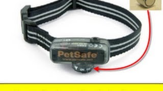 bark collar battery replacement