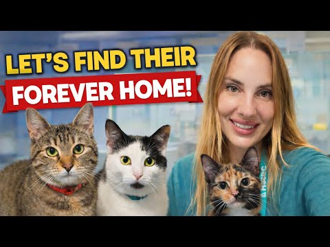 No One Came for Them Yet… But They Still Believe ❤️🐾