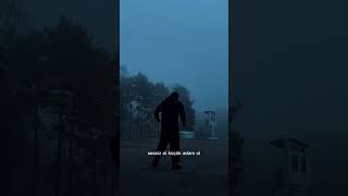 Saf Görünen Zeki Ol.