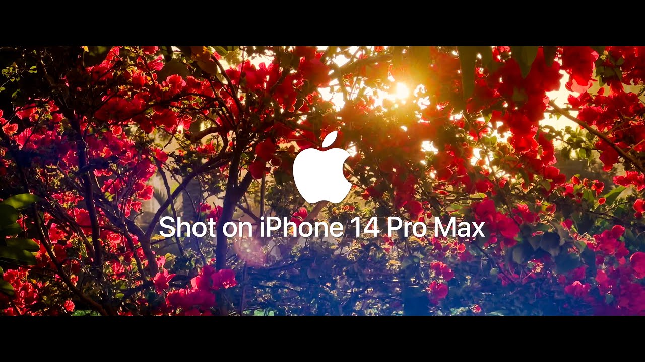 Shot on iPhone 14 Pro | 24 on 14