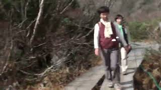 2011 1014 18 静岡長野の旅 栂池自然園散策