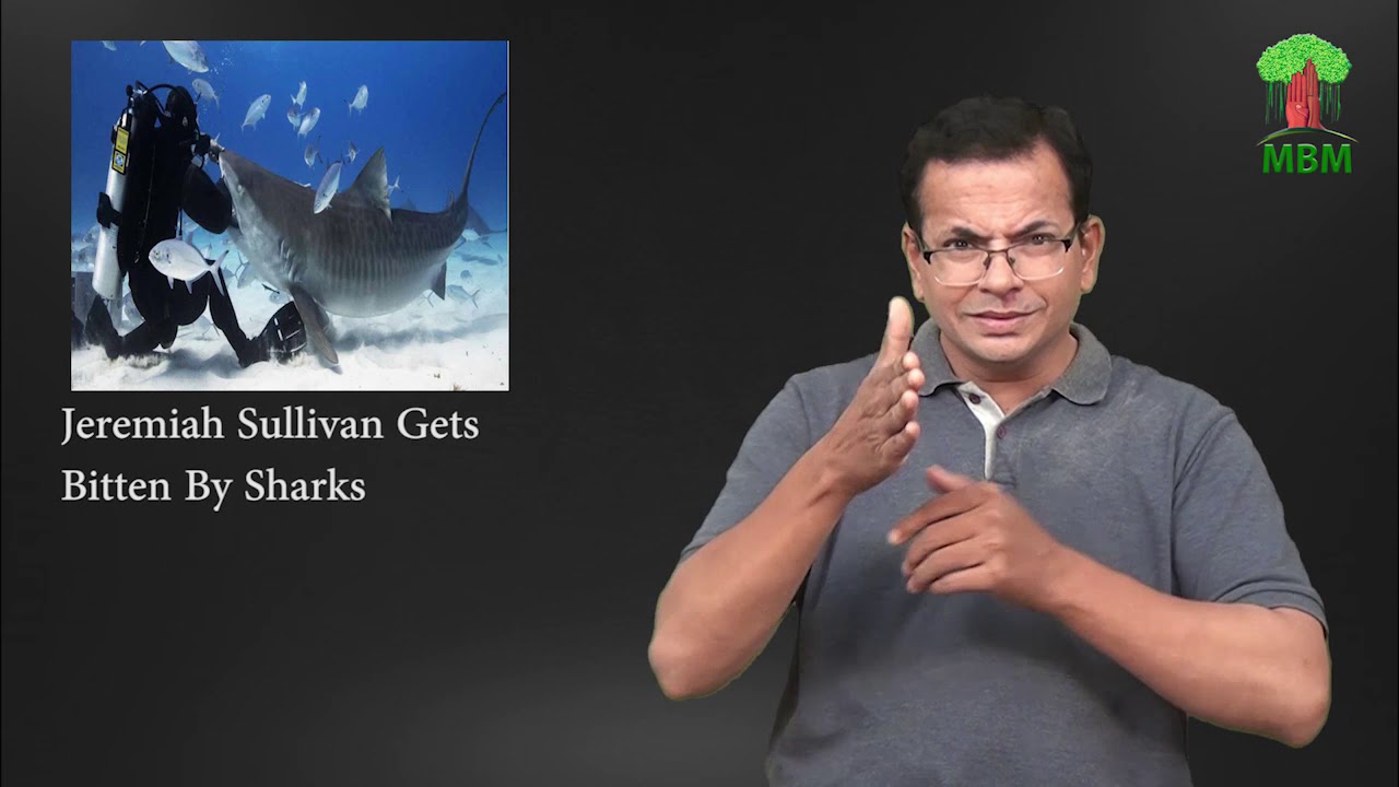 Jeremiah Sullivan Gets Bitten By Sharks YouTube