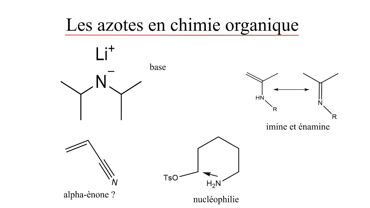 Ne plus paniquer face aux azotes en chimie organique
