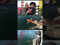 初心者でも簡単に釣れる!?カマスを狙って関西エリアに行ってきましたパート2#ルアー #釣り #大阪湾 #初心者