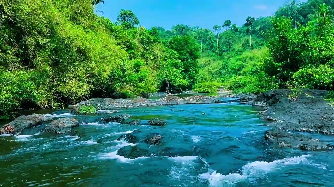 Beautiful Piano, River Waterfall & Birds Sound For Calm, Meditation, Deep Sleep #027