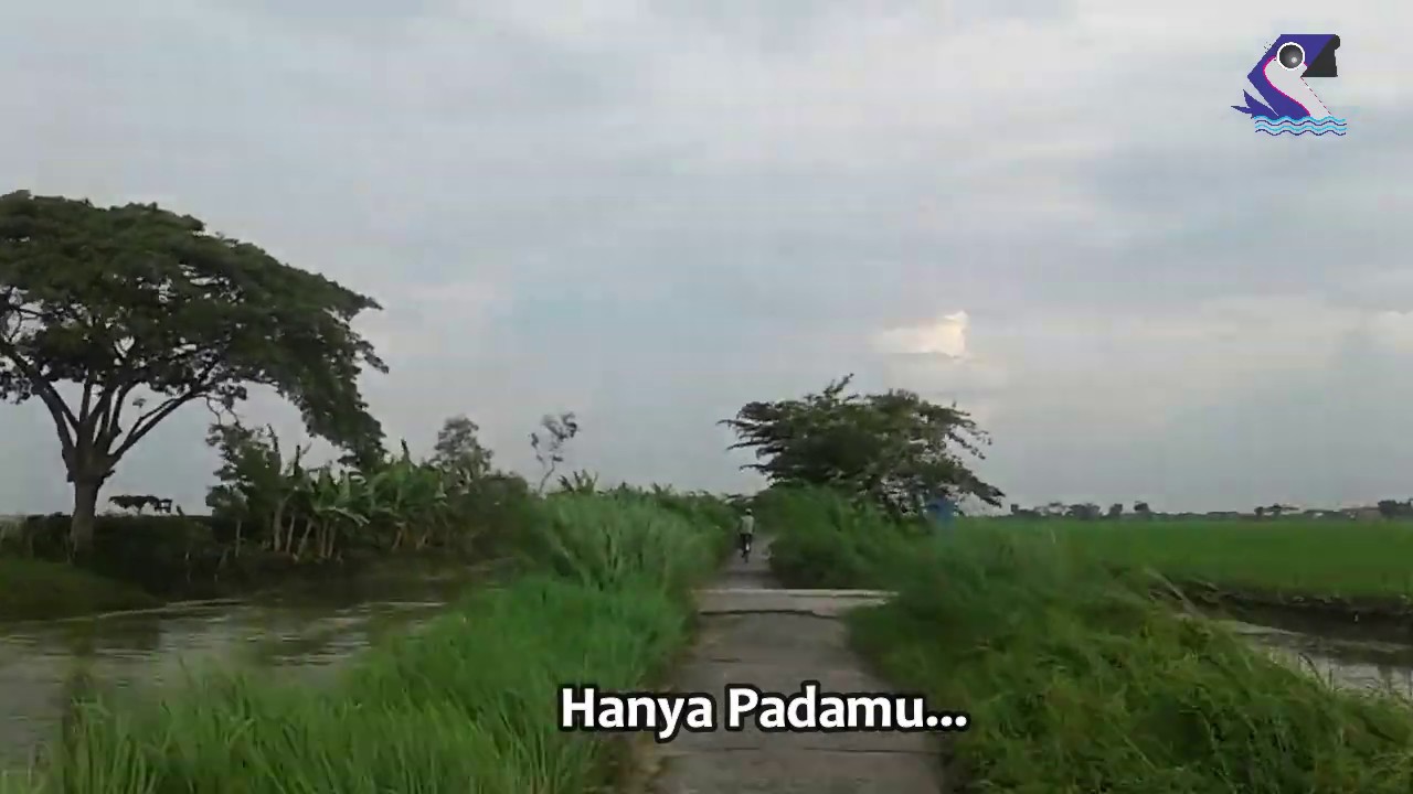 Ungu Cinta Gila Videp Lirik Youtube