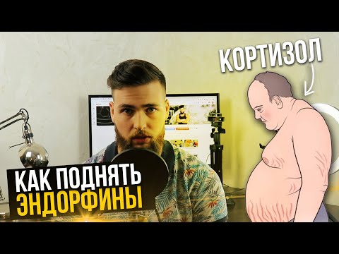 Как понизить Кортизол? Эндорфины и стрессоустойчивость