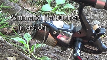 Baitrunner in action