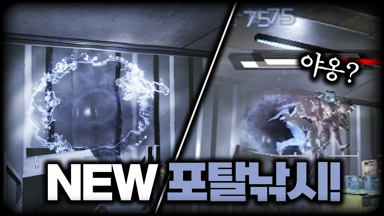 강제 고양이자세 포탈