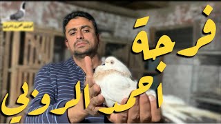 فرجة احمد الروبي 🇪🇬#لوفت_عمرو_اشرف#غية_الحمام