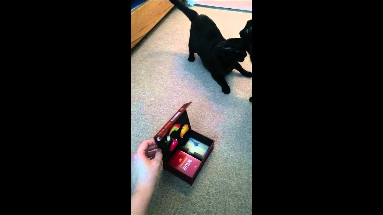 Cats vs Exploding Kittens - YouTube