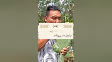 احترم القرآن يا صديقي وانشره فالدال على الخير كفاعله #احترم_القرآن #احترم #آيات #انشروا_القران #لايك