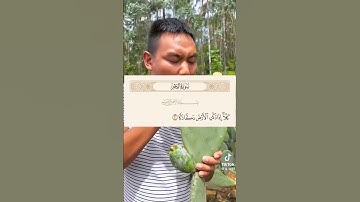 احترم القرآن يا صديقي وانشره فالدال على الخير كفاعله #احترم_القرآن #احترم #آيات #انشروا_القران #لايك