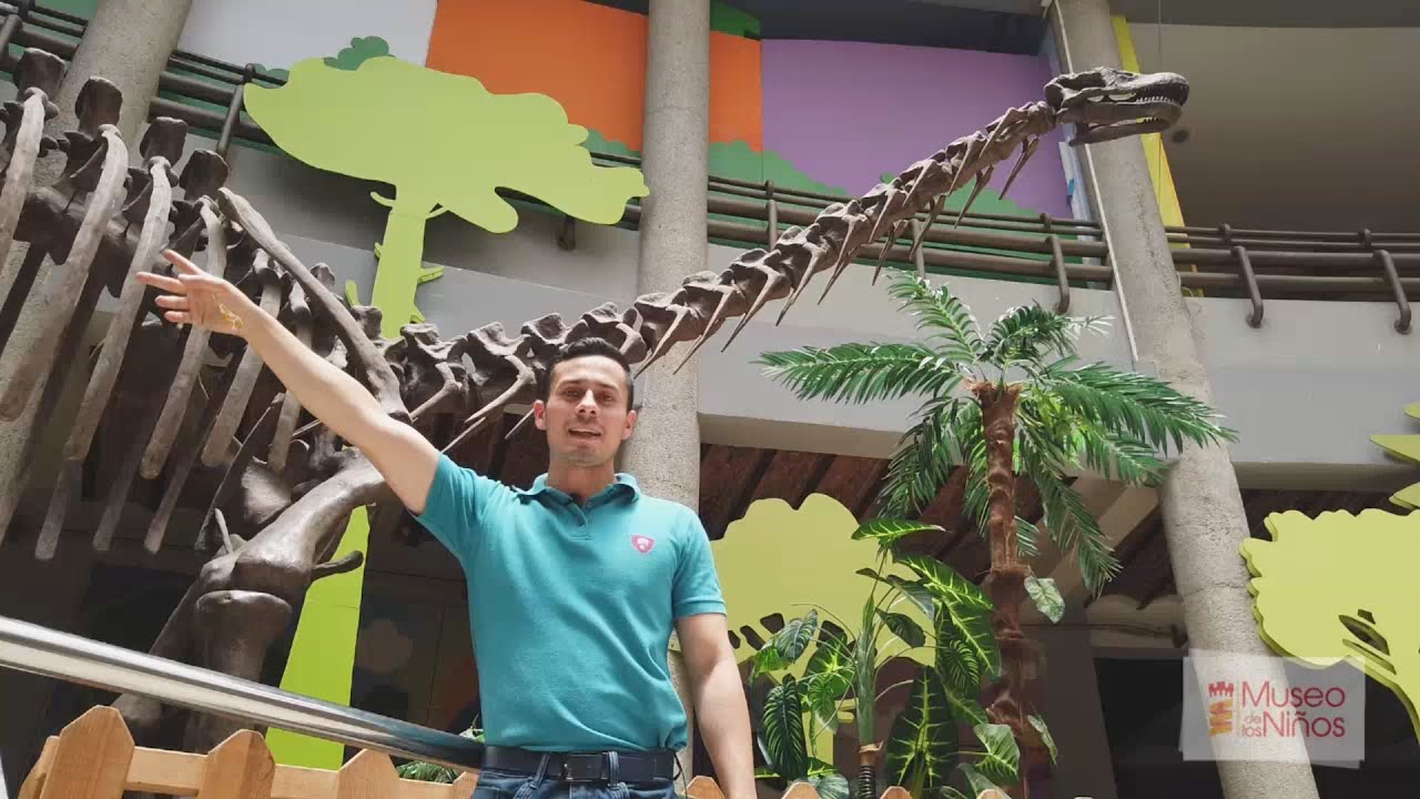 RECORRIDO VIRTUAL: Fósiles de dinosaurios. Museo de los Niños, Costa Rica.  - YouTube