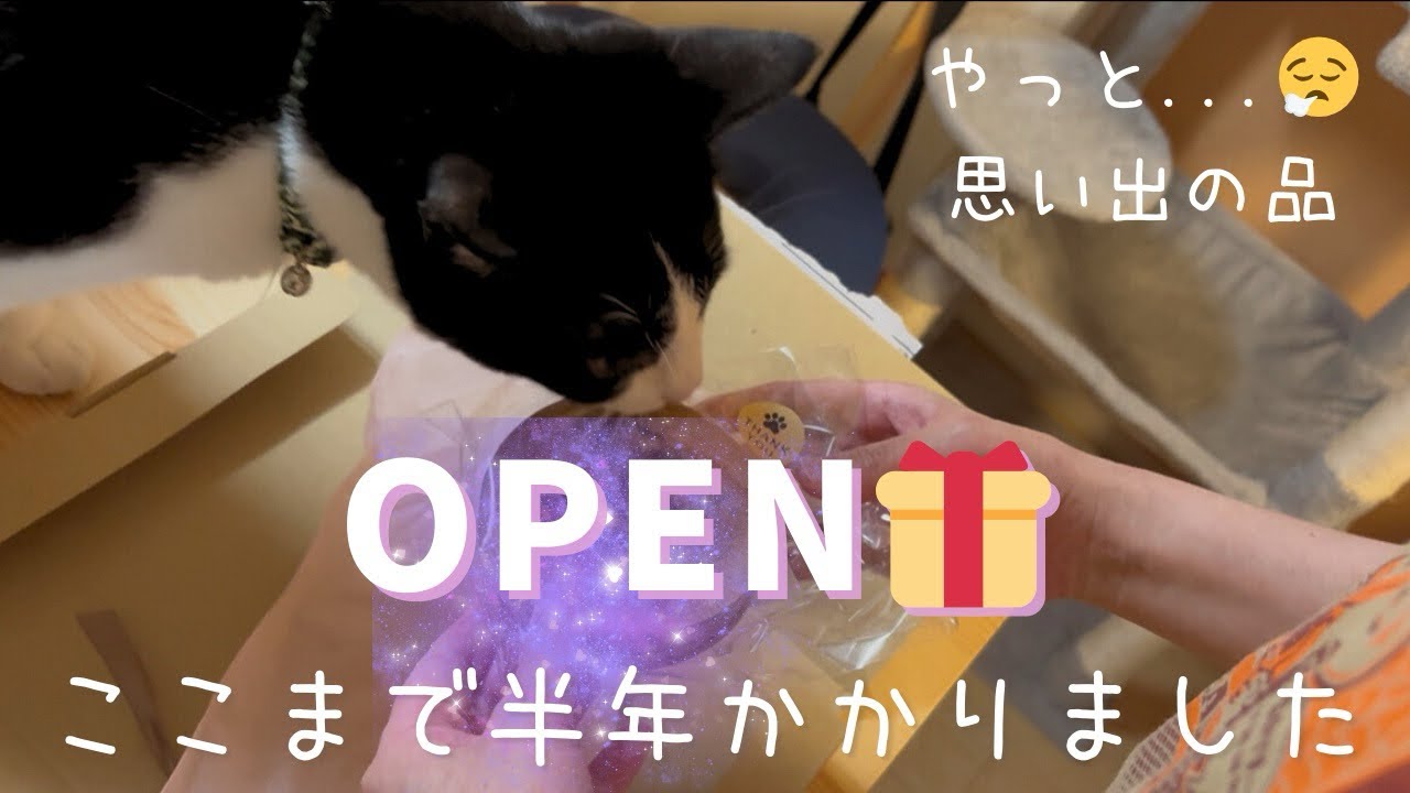 やっと... 半年かかって出来上がりました！