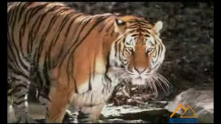 Classical Nepal Tour 2023 || Scenic Tour || Himalayan tour