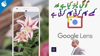 how google lens work in urdu screenshot 5