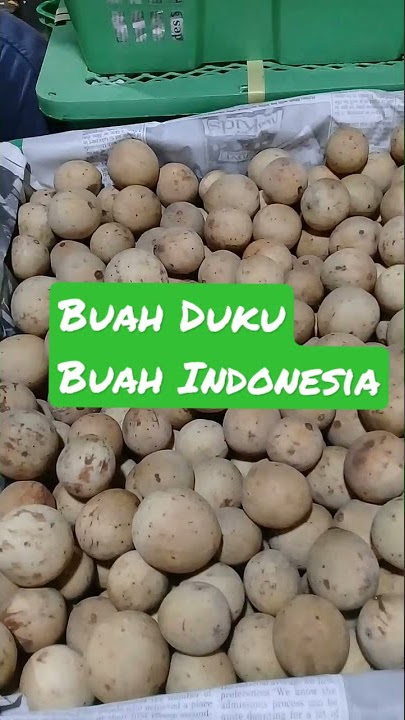 Pantun Buah | 😍Buah Duku_Buah Kedondong😍 | BeLi Dong😁