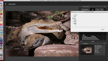 Canon Digital Photo Professional (DPP) 4: Software Overview and Interface Tour