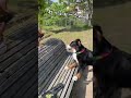 我が家のイナズマガール