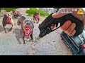 When Cops Had To ATTACK Dogs