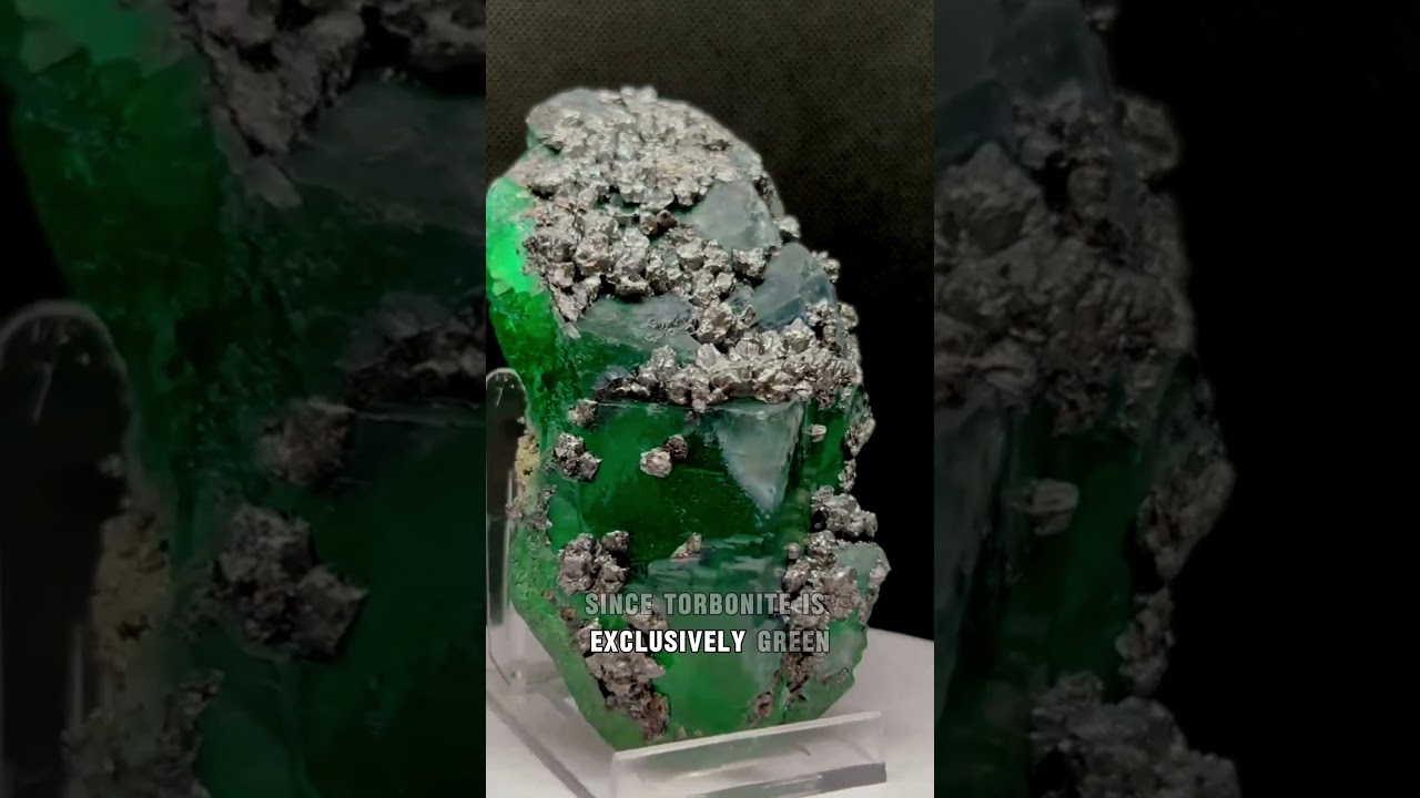 Were can you find it 