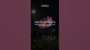 إِنَّ الَّذِينَ قَالُوا رَبُّنَا اللَّهُ ثُمَّ اسْتَقَامُوا سورة الأحقاف #راحة_نفسية #قرانتلاوات