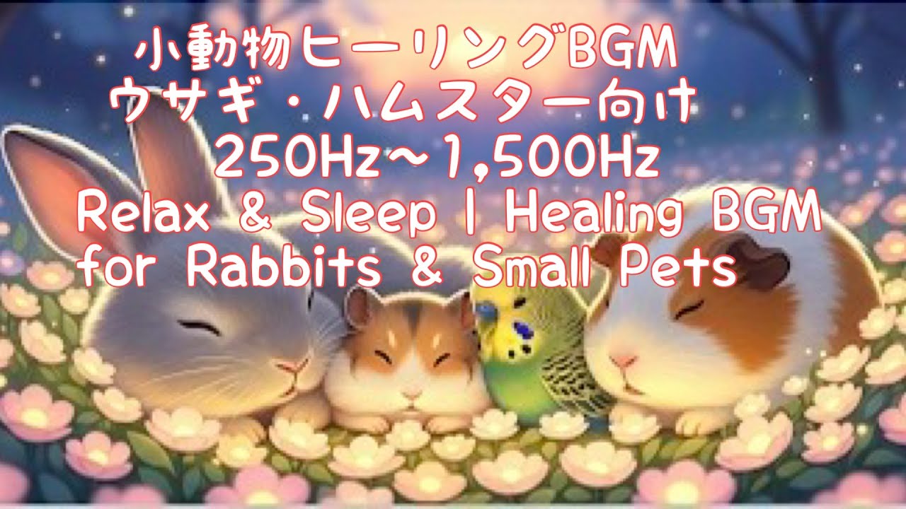 小動物ヒーリングBGM ウサギ ハムスター インコ 文鳥 モルモット等250Hz～1500Hz Relax & Sleep   Healing BGM for Rabbits & Small Pets