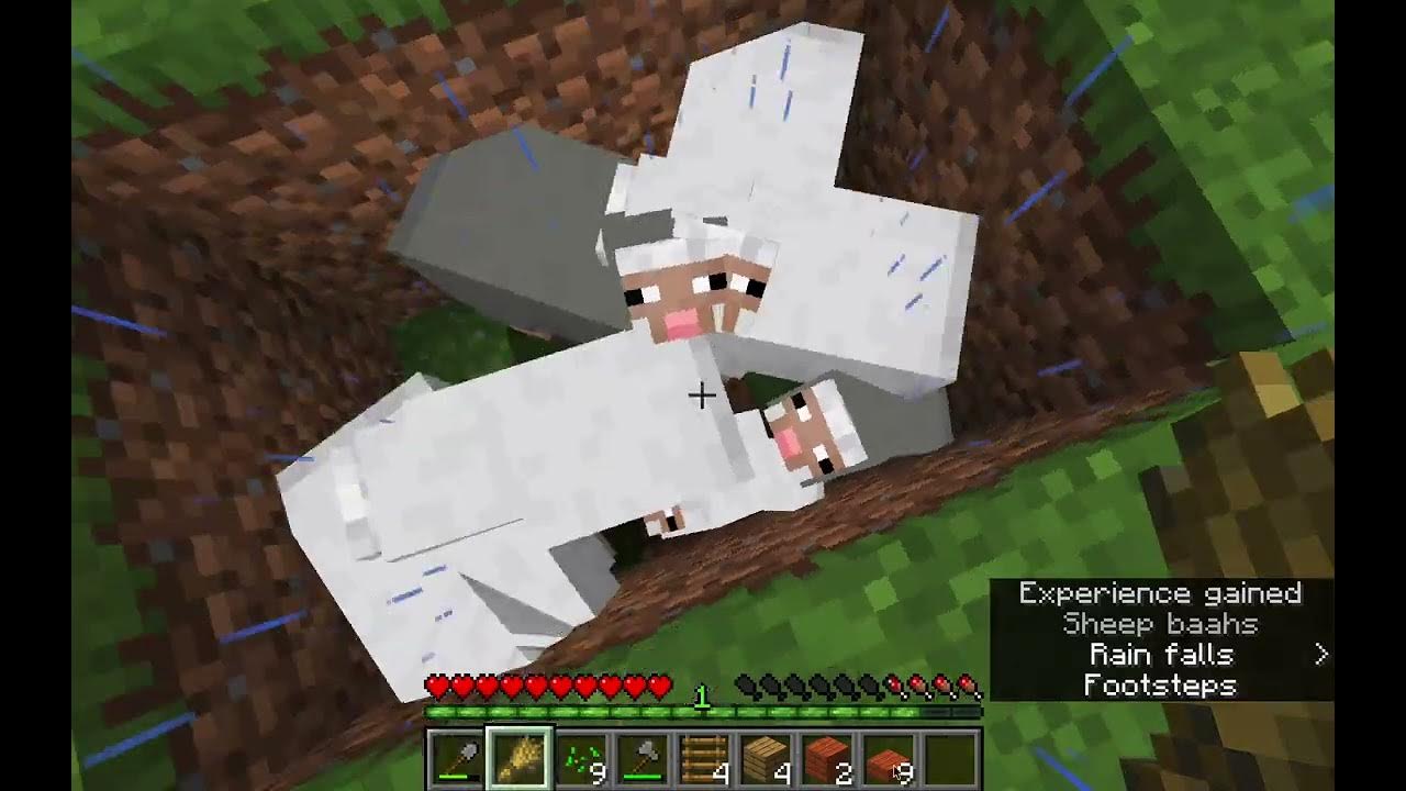 100x100 Challenge (Episode 3) More Mob Farm progress/More sugarcane