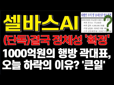 [셀바스ai] 1/31 1000천억원의 행방 곽대표 사고쳤다 확실하네요 셀바스에이아이 셀바스헬스케어 ai ai관련주 ai대장주 셀바스그룹주 로봇주 로봇관련주 챗gpt