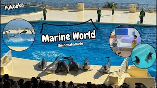 พิพิธภัณฑ์สัตว์น้ำ Marine World Uminonakamichi 🐬 (Fukuoka)