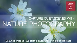 Join Me and Capture Quiet Scenes with Nature Photography