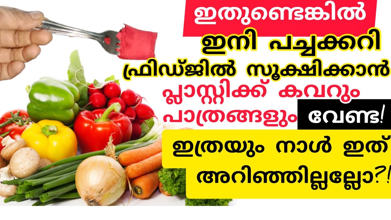 ഫ്രിഡ്ജിൽ പച്ചക്കറിയും ഫ്രൂട്ട്സും സൂക്ഷിക്കാൻ ഇനി പ്ലാസ്റ്റിക് കവറോ