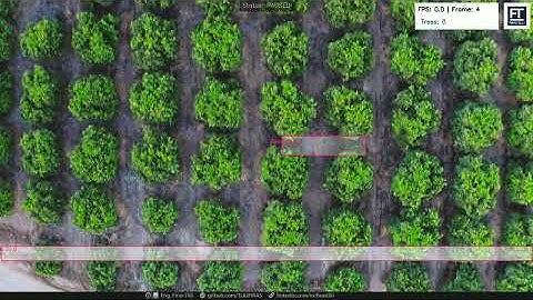 Revolutionizing Environmental Monitoring with AI: Real-Time Tree Detection & Counting